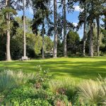 383832272_1104484513853346_2472967602706793779_n copy