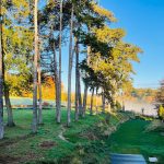 400429226_876931617396809_5104693465361220950_n copy