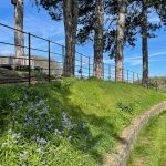 437671725_796674518575595_252012296500302115_n copy