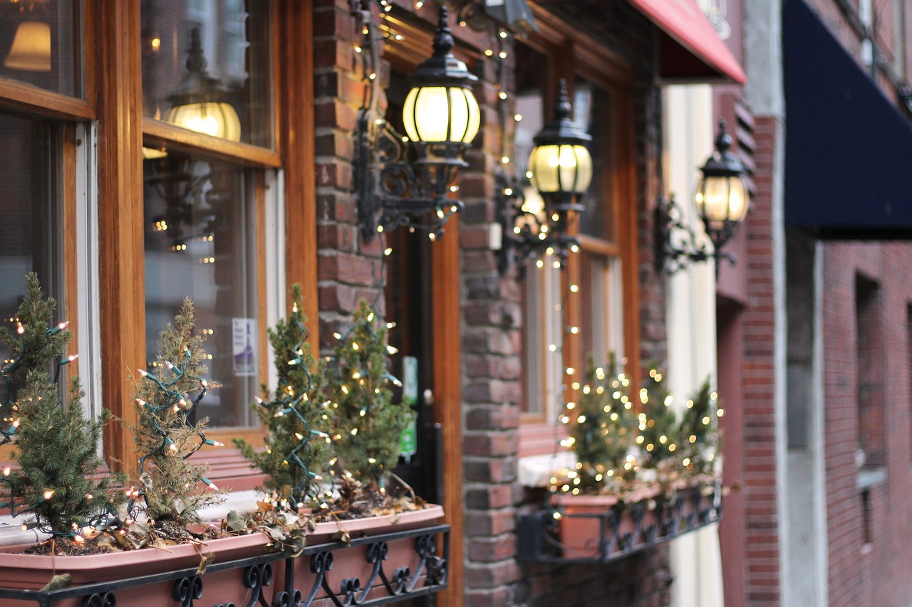 Windows decorated with Christmas lights and plants.